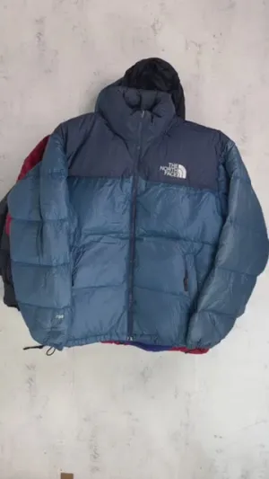 TNF Vintage 700/800/550 Puffers 10pc